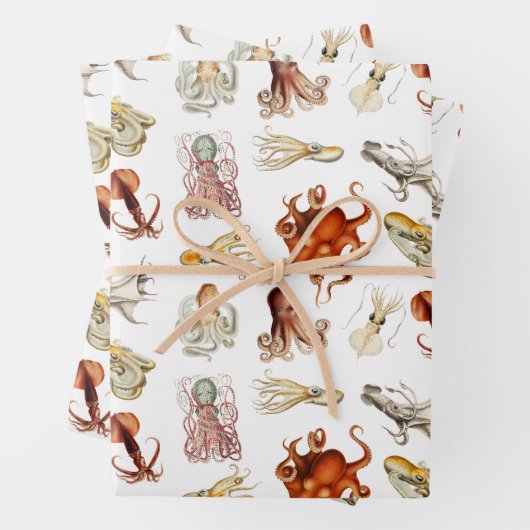 Aquareller Cephalopod Geschenkpapier Set (Beispiel)