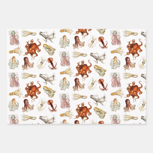 Aquareller Cephalopod Geschenkpapier Set (Vorderseite)