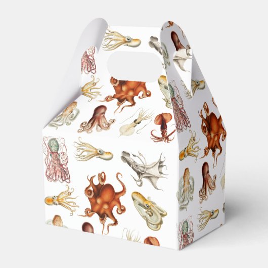 Aquareller Cephalopod Geschenkschachtel (Rückseite)