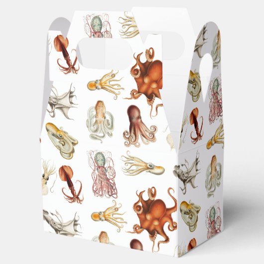 Aquareller Cephalopod Geschenkschachtel (Geöffnet)