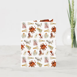 Aquareller Cephalopod Karte