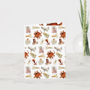 Aquareller Cephalopod Karte