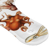 Aquareller Cephalopod Schneidebrett (Ecke)