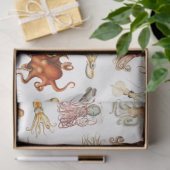 Aquareller Cephalopod Seidenpapier (Geschenk)