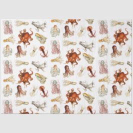 Aquareller Cephalopod Seidenpapier