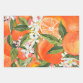Aquareller Grapefruitrus Moderne tropische Geschenkpapier Set (Vorderseite 3)