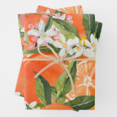 Aquareller Grapefruitrus Moderne tropische Geschenkpapier Set (Beispiel)