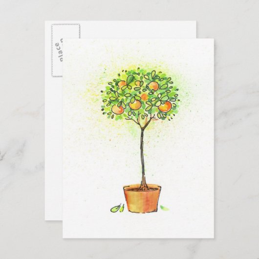Aquareller-Zitrusbaum in Topf Postkarte (Vorne/Hinten)