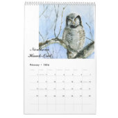 Aquarelleulen-Malereikalender Kalender (Feb 2026)