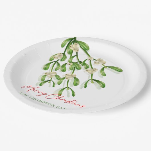 Aquarellfarbe Frohe Weihnachten Berry Branches Pappteller (Schrägansicht)