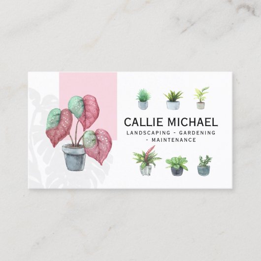 Aquarellfarbe Rosa und grüne gepunktete Pflanze Visitenkarte (Vorderseite)