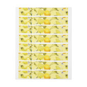 Aquarellfarben 16 (Bogen)