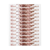 Aquarellfarben 3 (Bogen)