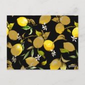 Aquarellfarben 31 postkarte (Rückseite)