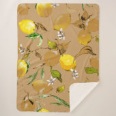 Aquarellfarben 33 sherpadecke (Vorderseite)