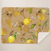 Aquarellfarben 33 sherpadecke (Vorderseite (Horizontal))