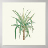 Aquarellfarben Antikes botanisches Plakat (Vorne)