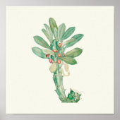 Aquarellfarben Antikes botanisches Plakat (Vorne)