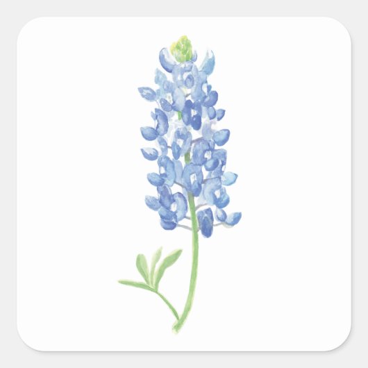 Aquarellfarben Bluebonnet-Blume Quadratischer Aufkleber (Vorderseite)