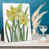 Aquarellfarben Blume Portrait Illustration Fotoplatte (Seite)