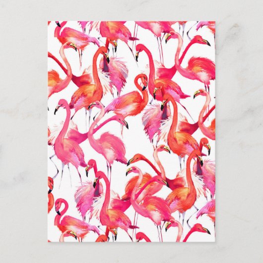 Aquarellfarben Flamingos in Wasserfarben 2 Postkarte (Vorderseite)