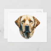 Aquarellfarben Labrador Retriever Postkarte (Vorne/Hinten)