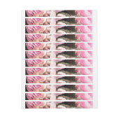 Aquarellfarben-Rose 25 (Bogen)