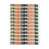 Aquarellfarben-Rose 29 (Bogen)