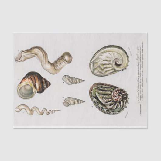 Aquarellfarben Seidenpapier (Vorderseite)