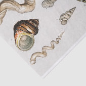 Aquarellfarben Seidenpapier (Ausschnitt)