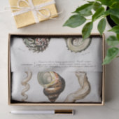 Aquarellfarben Seidenpapier (Geschenk)