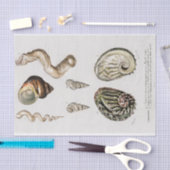 Aquarellfarben Seidenpapier (Handwerk)