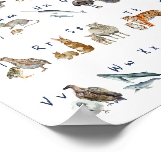 Aquarellfarben-Tierplakat Poster (Ecke)