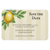 Aquarellfarben Zitronengelbe Zitrusfrüchte Rustika Magnet (Horizontal)