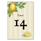 Aquarellfarben Zitronengelbe Zitrusfrüchte Rustika Tischnummer (Rückseite)
