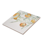 Aquarellfarben Zitrusfrüchte Clementine Süsse Fliese (Seite)