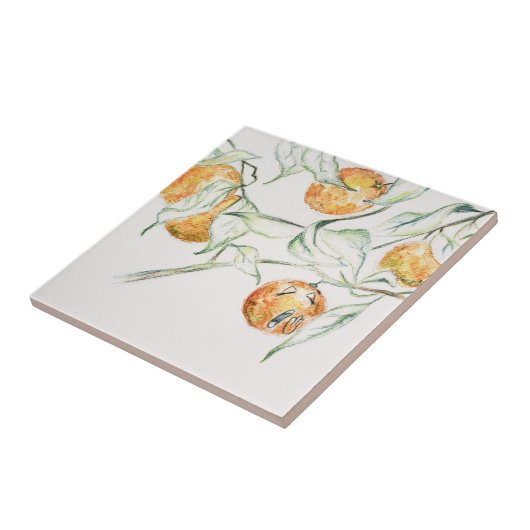 Aquarellfarben Zitrusfrüchte Clementine Süsse Fliese (Seite)