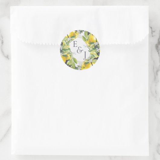 Aquarellfarben Zitrusfrüchte-Hochzeitmonogramm Runder Aufkleber (Tasche)
