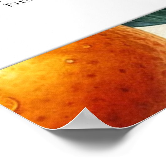 Aquarellfarben Zitrusfrüchte Orange-Blätter Seekar Poster (Ecke)