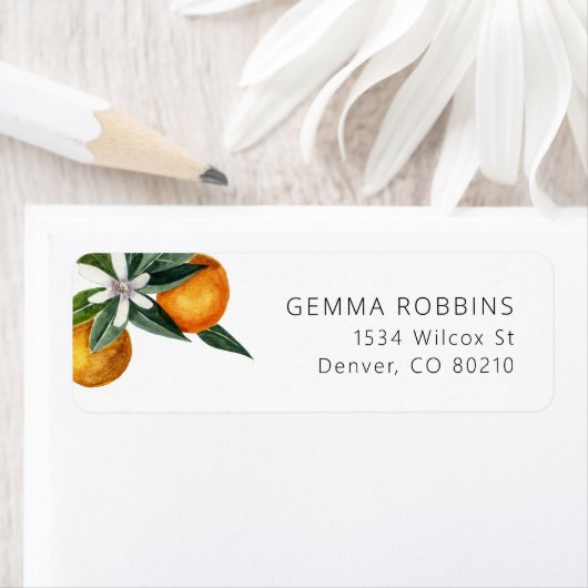 Aquarellfarben Zitrusfrüchte Orangen Blütenblume R (Insitu)