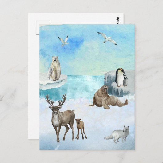Aquarellfarbene Arktische Tierwelt Postkarte (Vorne/Hinten)