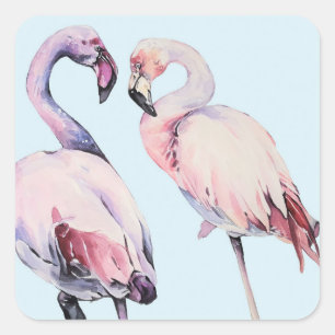 Aquarellfarbene Flamingo-Vögel Quadratischer Aufkleber
