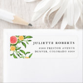 Aquarellfarbene Orangen und Grapefruits (Insitu)