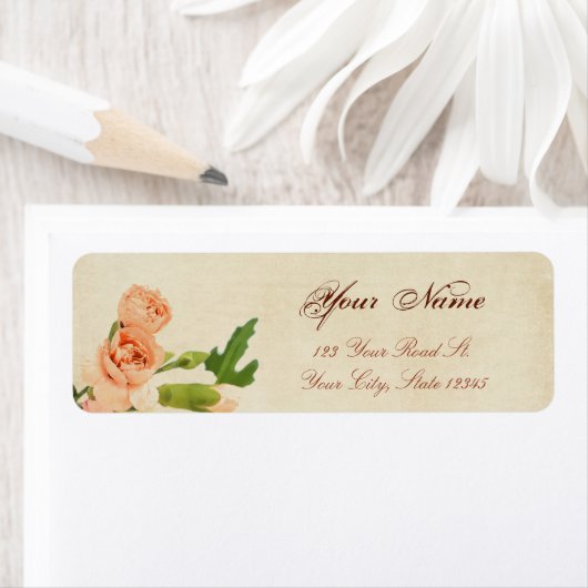 Aquarellfarbene Peach Carnation Corners (Insitu)