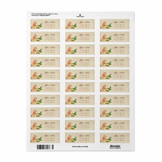 Aquarellfarbene Peach Carnation Corners (Vorne)