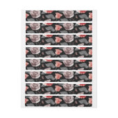 Aquarellfarbene Rose 15 (Bogen)