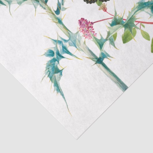 Aquarellfarbene Wildblume Insekten Blumengarten Seidenpapier (Ausschnitt)