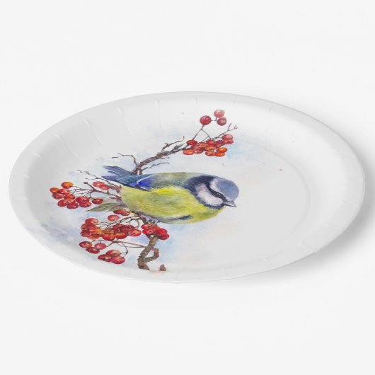 Aquarellfarbener Wintertimvogeldiagramm Pappteller (Schrägansicht)