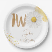 Aquarellfärbung am zweiten Geburtstag Pappteller (Vorderseite)