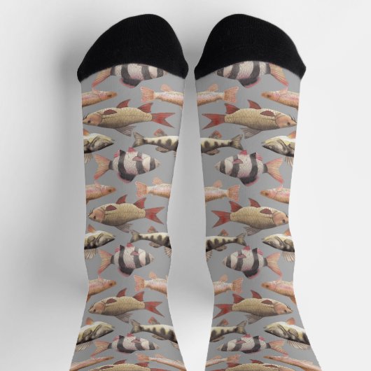 Aquarellfische auf hellgrau socken (Oben)